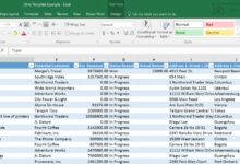 CRM Excel Template