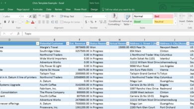 CRM Excel Template